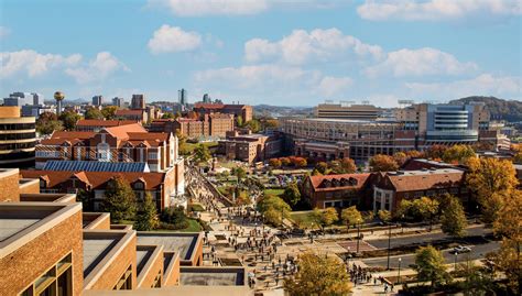 Con Survey for University of Tennessee Knoxville: Uncover the Inside Scoop