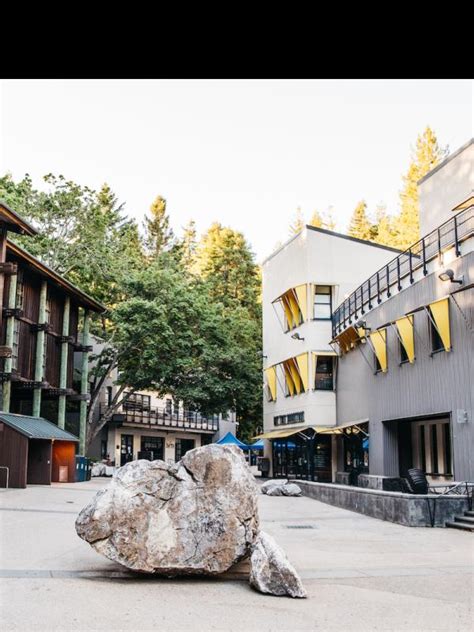 Quarry Plaza UCSC: A Vibrant Hub for Student Life and Community Engagement
