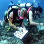 Aquatic Biology Jobs: A Dive into a Thriving Field