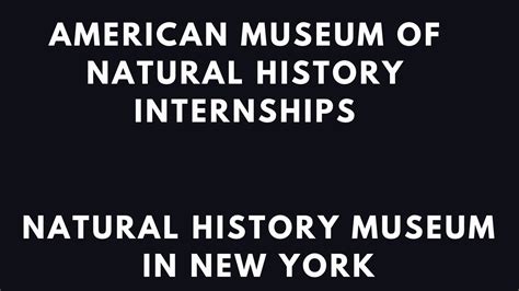 American History Museum Internships: A Journey through Time
