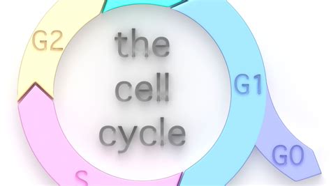 In the Diagram Below, the Gray Unit Represents: Unlocking the Central Nervous System for Optimal Performance
