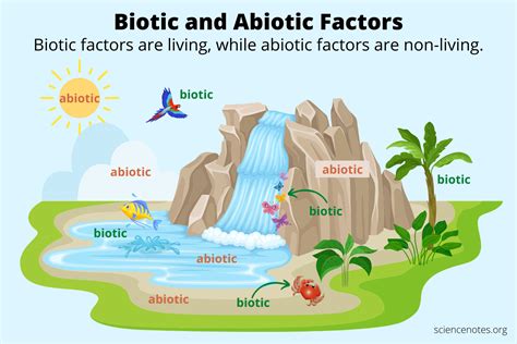 Is Rain Biotic or Abiotic?