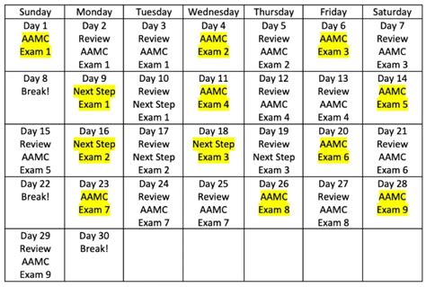 1-Month MCAT Study Plan: A Comprehensive Guide to Optimize Your Preparation