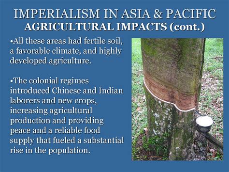 How Did Agriculture Change During the New Imperialism? Introduction of New Crops Agricultural Technologies Farming Practices Environmental Impacts Social Impacts Tips and Tricks Common Mistakes to Avoid