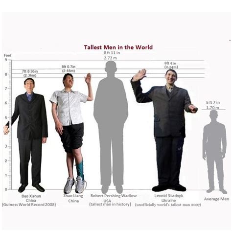 Two Meters Tall: A Comprehensive Guide to Understanding and Utilizing the Possibilities