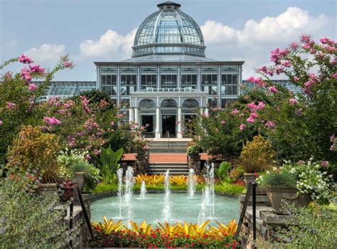 The Conservatory Dallas: A Flourishing Destination for Botanical and Horticultural Enthusiasts