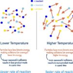 In the Second Experiment, Adding Heat Increased the Concentration