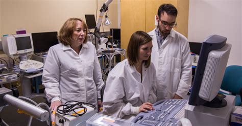 Best Biomedical Engineering Schools for Aspiring Pioneers in Healthcare Innovation