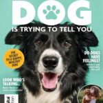 What’s Your Dog Really Trying to Tell You?