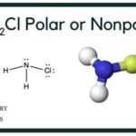 NH2Cl: Polar or Nonpolar? Unveiling the Molecular Nature of Chloramine