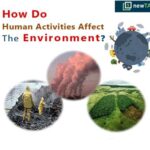 Science and Total Environment: Uncovering the Interplay between Human Activities and the Natural World