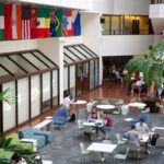 Best Major at the Walsh School of Foreign Service: Navigating Your Academic Journey