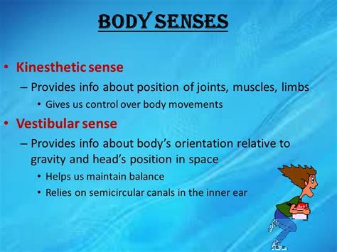 Vestibular and Kinesthetic Senses: Examples, Differences, and Applications What are Vestibular and Kinesthetic Senses? Differences between Vestibular and Kinesthetic Senses Applications of Vestibular and Kinesthetic Senses Benefits of Vestibular and Kinesthetic Senses Common Mistakes to Avoid Conclusion