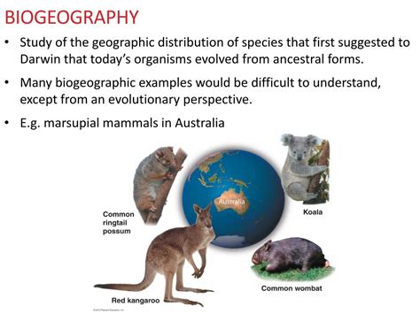 How is Biogeography Useful for Identifying Evolutionary Relationships? How Biogeography Informs our Understanding of Evolutionary Relationships The Importance of Biogeography in Evolutionary Biology Benefits of Using Biogeography to Identify Evolutionary Relationships Applications of Biogeography in Evolutionary Biology Pros and Cons of Using Biogeography to Identify Evolutionary Relationships Common Mistakes to Avoid When Using Biogeography to Identify Evolutionary Relationships Conclusion Tables