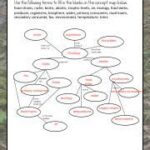 Ecology Concept Map Answer Key: Unraveling the Interconnectedness of Ecosystems