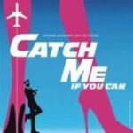 Goodbye Catch Me If You Can Lyrics: A Comprehensive Exploration