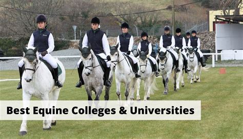 Top Equestrian Colleges: Where Aspiring Equestrians Thrive