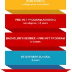 Student Doctor Network Pre-Vet: Your Comprehensive Guide to Veterinary Success