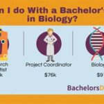 What Can You Do with a Bachelor’s in Biology?