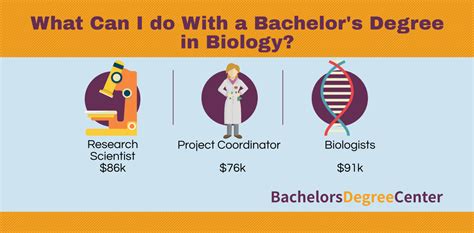 What Can You Do with a Bachelor’s in Biology?