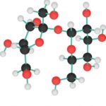 Lewis Structure for C12H22O11: Unraveling the Molecular Architecture of Sucrose