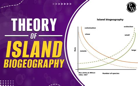 Theory of Island Biogeography: Unraveling the Patterns of Ape Distribution