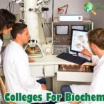 What Are the Best Colleges for Biochemistry?