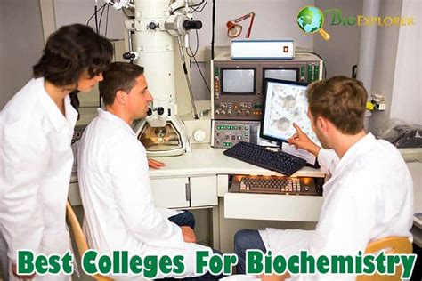 What Are the Best Colleges for Biochemistry?