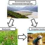 Independent Variables in Ecosystems: Unraveling the Symphony of Nature Exploring the Interplay: Independent Variables and Ecosystem Components Unveiling the Effects: Tabular Insights Transforming Pain Points into Motivations Strategies for Addressing Independent Variables Examples of Effective Applications Benefits of Understanding Independent Variables Embracing Synergies: Independent Variables and Ecosystem Services Conclusion