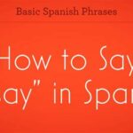 How Do You Say Essay in Spanish?