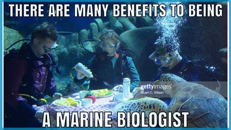 There Are Many Benefits to Being a Marine Biologist Conclusion