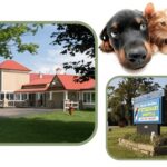 Metro Vet Hospital Akron: Your Trusted Partner in Pet Healthcare