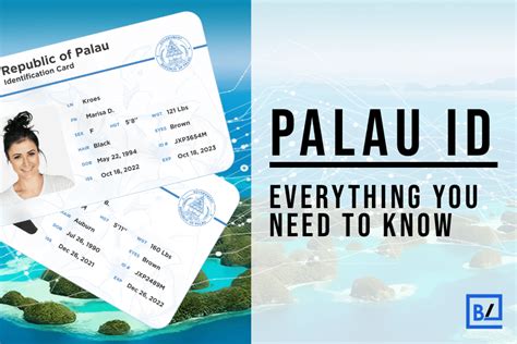 What if I lose my Palau ID?