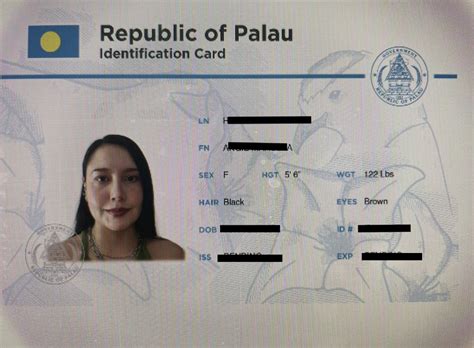 What happens if my Palau ID is fake?