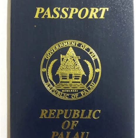 How does Palau ID differ from passport? (5 Key Differences)